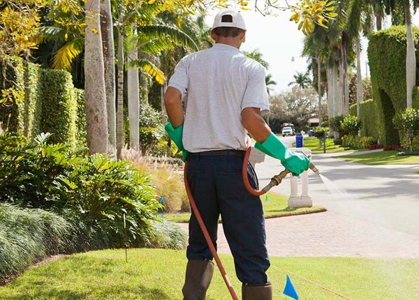 About Jetmore KS Pest Control